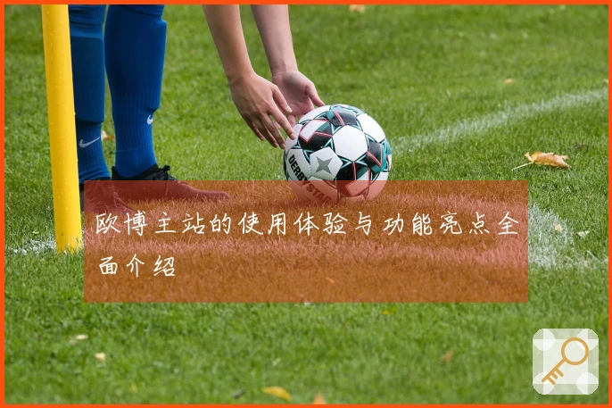 欧博主站的使用体验与功能亮点全面介绍